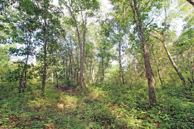 7750 Pine Rd, House other with 3 bedrooms, 2 bathrooms and null parking in ARENA WI | Image 40