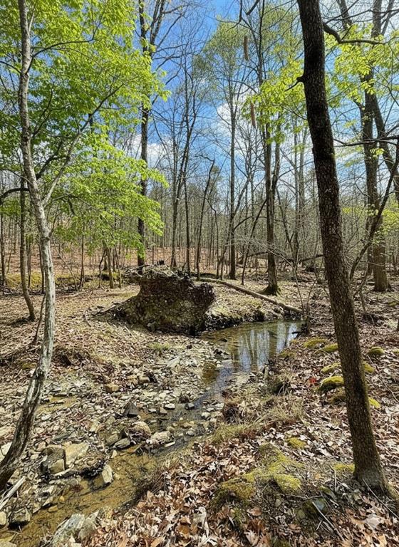 Land in Broken Bow 3