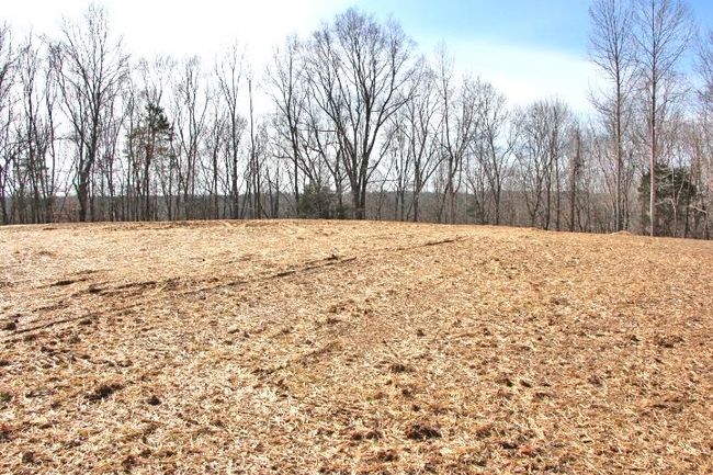 Lots 26 &amp; 27 Cherokee Road, Home with 0 bedrooms, 0 bathrooms and null parking in Lucas KY | Image 15