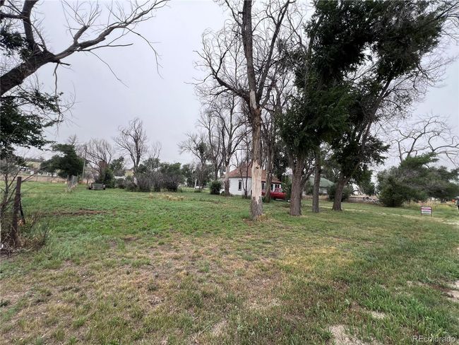 Large Lot | Image 34