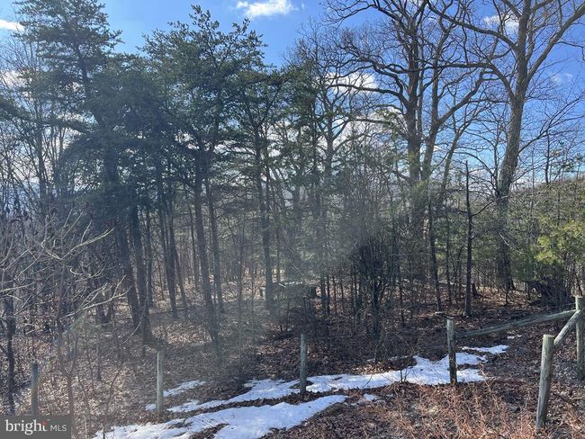 1527 Highland Springs Rd, House other with 2 bedrooms, 0 bathrooms and null parking in OLD FIELDS WV | Image 39