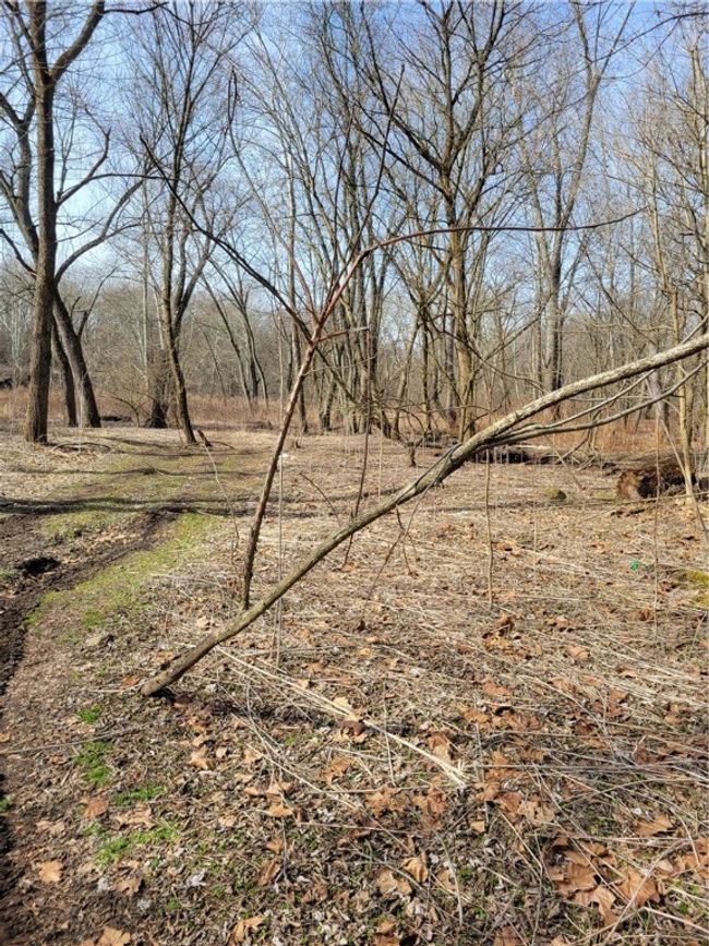 0 River Rd, Home with 0 bedrooms, 0 bathrooms and null parking in Wampum PA | Image 7