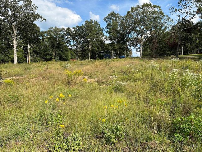 328 Saint Gerard St, Home with 0 bedrooms, 0 bathrooms and null parking in Bonne Terre MO | Image 4