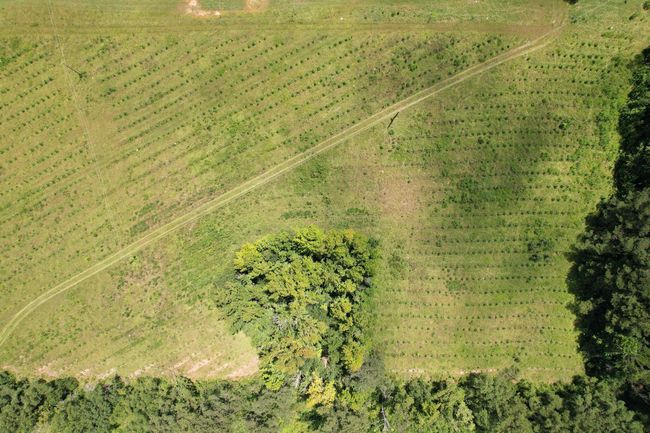 00_SCR_504-9 | Image 9