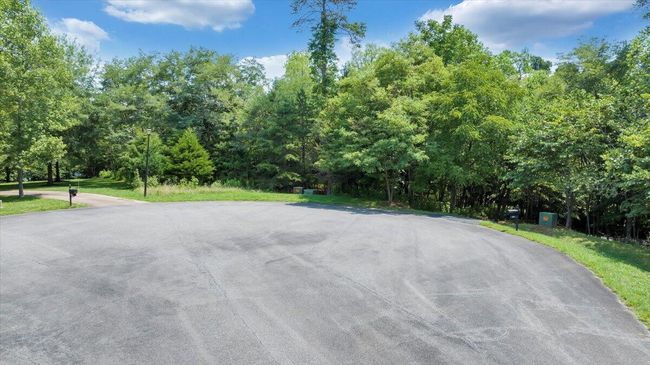 05-DJI_20240809112837_0002_D_MIB | Image 5