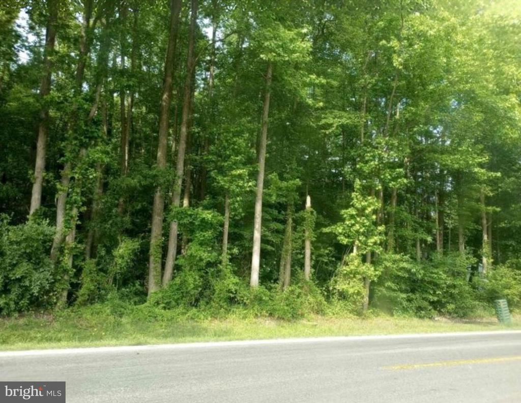 12374 Galena Rd, Massey, MD 21650