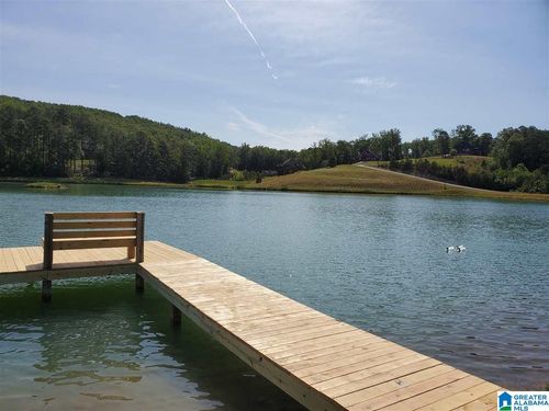 61-325 Gray Fox Rd, SPRINGVILLE, AL, 35146-7601 | Card Image