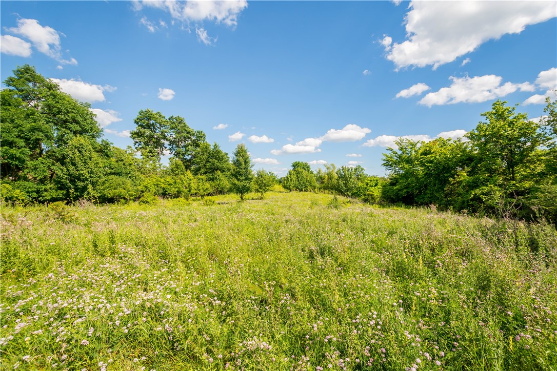 Farm in South Strabane 5
