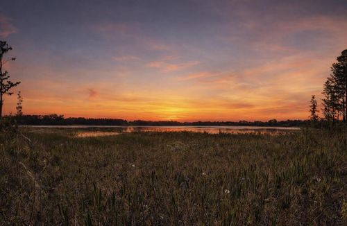 8335 Florida Boys Ranch Rd, Groveland, FL, 34736-9450 | Card Image