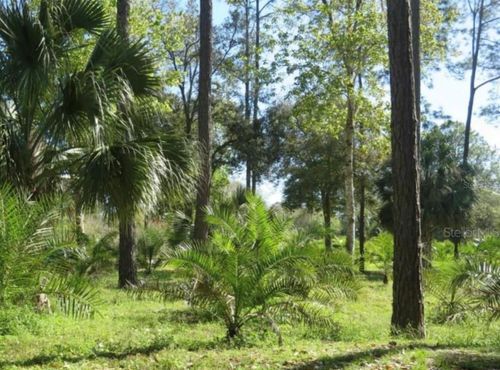 621 Parakeet Avenue Avenue, SEBRING, FL, 33872 | Card Image