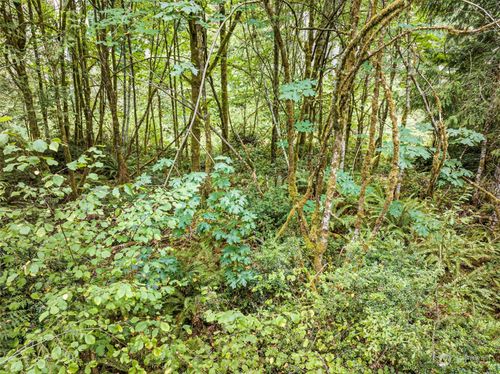 0 Lackey Rd Nw, Vaughn, WA, 98394 | Card Image