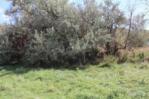 Lot 5 Sage St, Newcastle, WY, 82701-3138 | Card Image