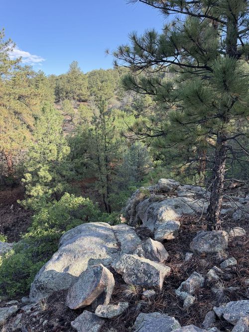 65 Kent Drive, Cotopaxi, CO, 81223 | Card Image