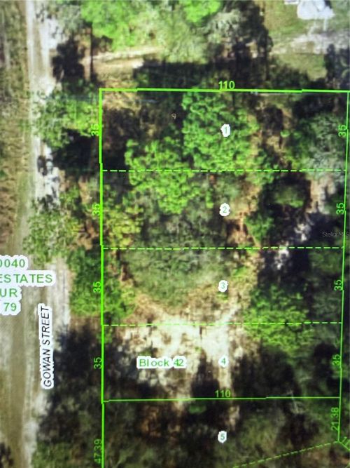 11142 Gowan Street, New Port Richey, FL, 34654 | Card Image