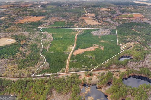 0 Jacob Wilkinson Circle, Claxton, GA, 30417 | Card Image