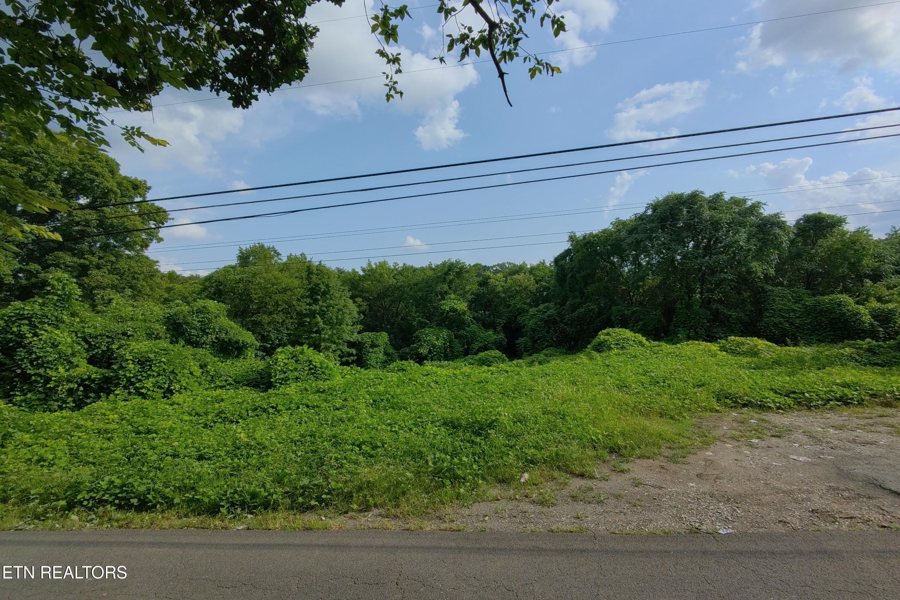 Land in Knoxville 4