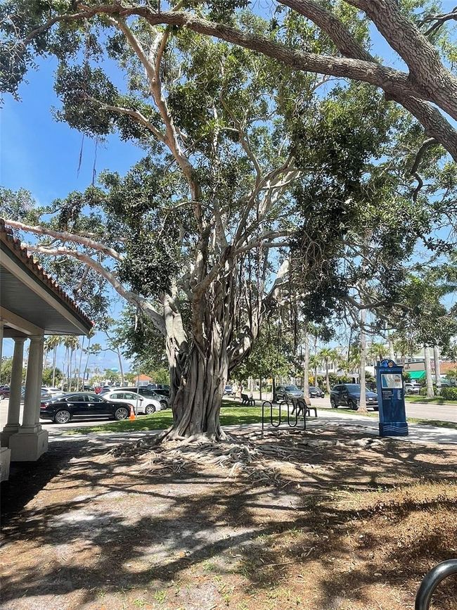 1060 - 1060 Cockrill St, House other with 2 bedrooms, 2 bathrooms and null parking in VENICE FL | Image 72