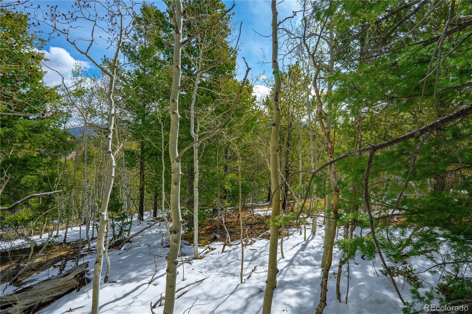 Land in Cripple Creek 4