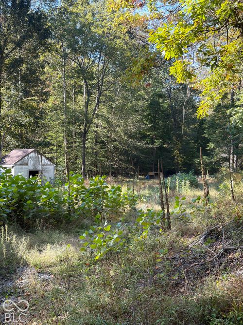 8942 Bean Blossom Rd, Trafalgar, IN, 46181-8778 | Card Image