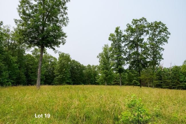 0 Long Branch Rd, Home with 0 bedrooms, 0 bathrooms and null parking in Rising Fawn GA | Image 16