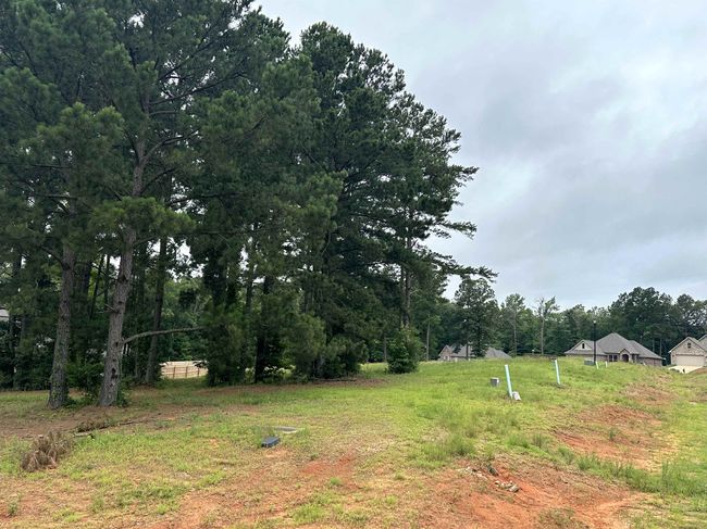 00 Highway 146, Home with 0 bedrooms, 0 bathrooms and null parking in Ruston LA | Image 4