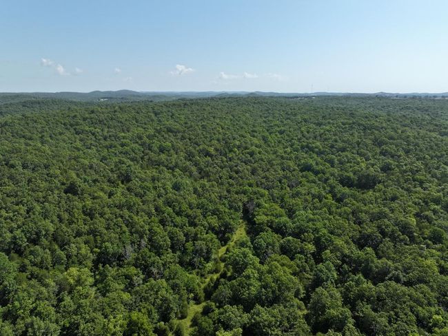 dji_fly_20250620_103534_0036_17504330775 | Image 12