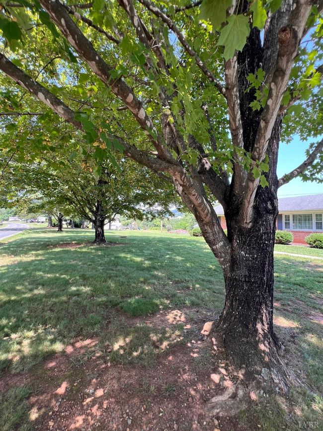 1410 Stevens Cove Rd, House other with 3 bedrooms, 2 bathrooms and null parking in LOVINGSTON VA | Image 44