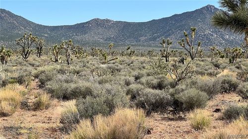 0 Lake Mead City Unit No 29-29-16 Lot 410, Meadview, AZ, 86444 | Card Image