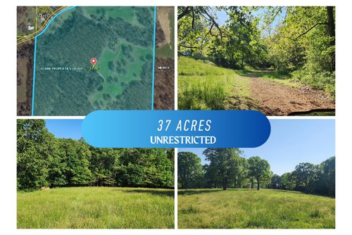 000 Farm Road 2160, Rocky Comfort, MO, 64861 | Card Image