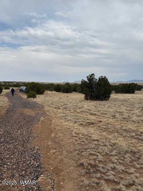 78 County Road 8010, Concho, AZ, 85924 | Card Image