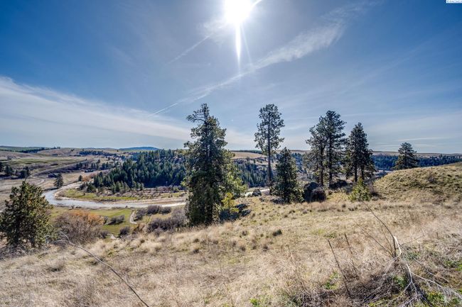 6E Red Tail Ridge Rd, Home with 0 bedrooms, 0 bathrooms and null parking in Colfax WA | Image 16