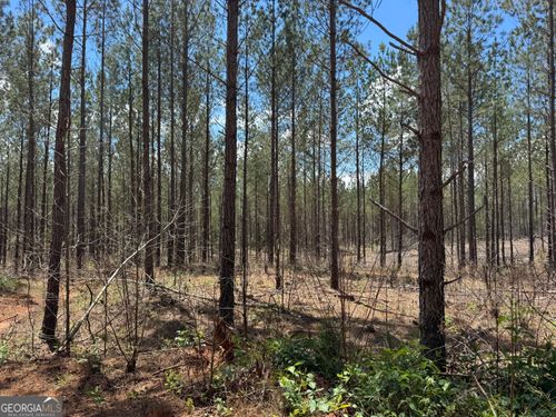 LOT 1 Lipham Rd, Franklin, GA, 30217 | Card Image