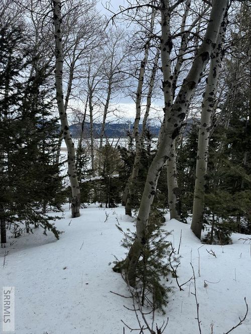 4788 Balsam St, Island Park, ID, 83429-5142 | Card Image