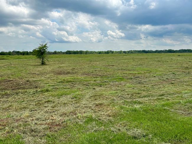 00 Apache Trl, Home with 0 bedrooms, 0 bathrooms and null parking in Angleton TX | Image 13