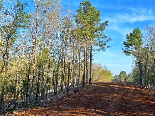 99 Cr 2107, Home with 0 bedrooms, 0 bathrooms and null parking in Rusk TX | Image 13