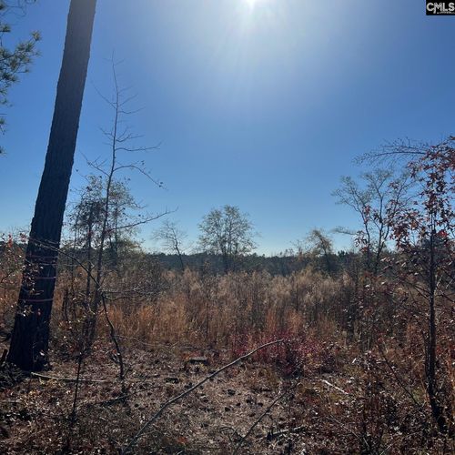 2199 Longtown Rd, Ridgeway, SC, 29130-9131 | Card Image