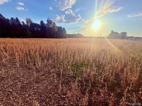 00 Raucholz Rd, Chesaning, MI, 48616 | Card Image