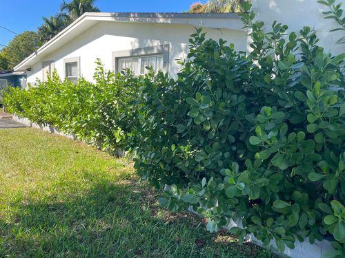 4421 Nw 34th Ct, Lauderdale Lakes, FL, 33319-5705 | Card Image