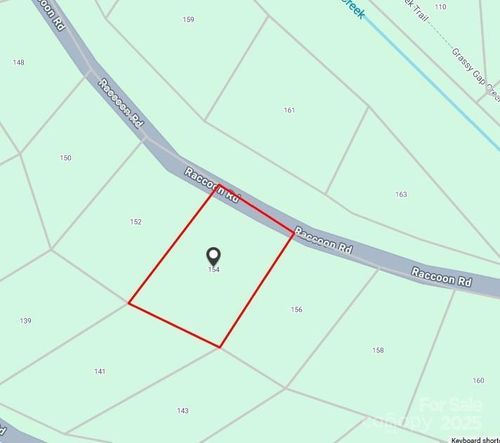 154 Raccoon Rd, Beech Mountain, NC, 28604-8170 | Card Image