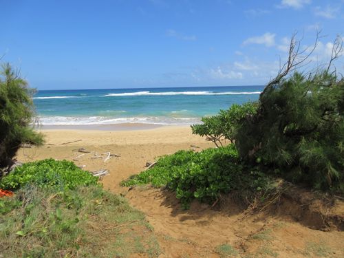 118-4460 Nehe Rd, LIHUE, HI, 96766-9154 | Card Image