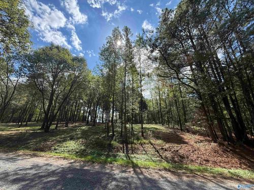 #1A County Road 1123, Vinemont, AL, 35179 | Card Image