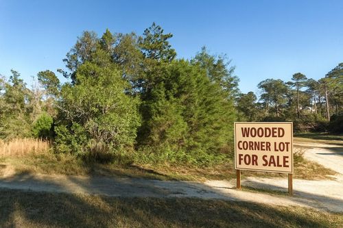 00 Ne 235th Pl, FORT MC COY, FL, 32134 | Card Image