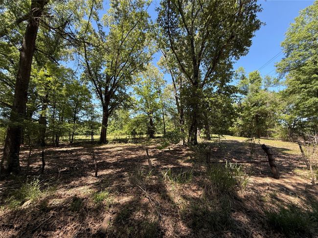 72 N Farm Road 900 N, Home with 0 bedrooms, 0 bathrooms and null parking in Saltillo TX | Image 28