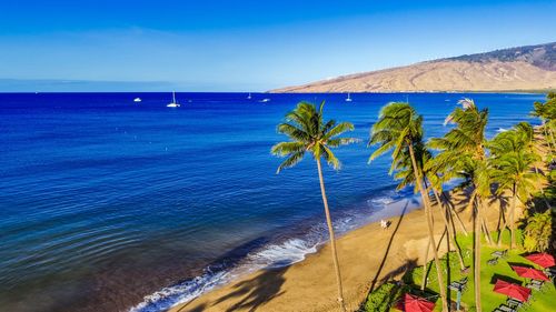 303-73 N Kihei Rd, Kihei, HI, 96753 | Card Image