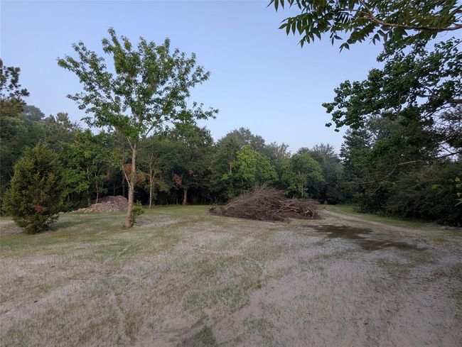 Large clearing looking south. | Image 11