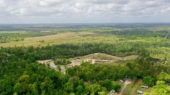 2771 S Highway 71, Home with 0 bedrooms, 0 bathrooms and null parking in Wewahitchka FL | Image 11