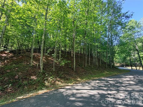 0000 Lakewood Dr, Lake Lure, NC, 28746 | Card Image