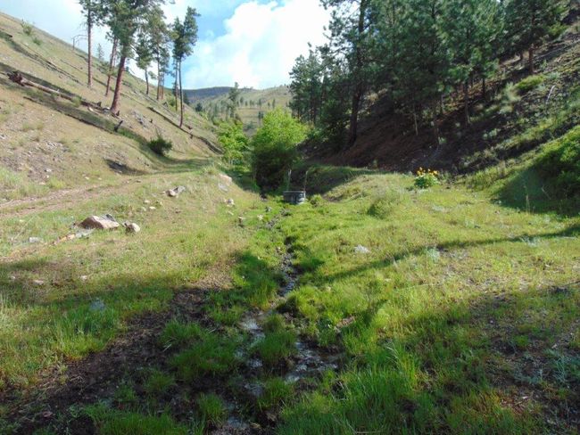 27235 Lazy Springs Rd, Home with 0 bedrooms, 0 bathrooms and null parking in Clinton MT | Image 50