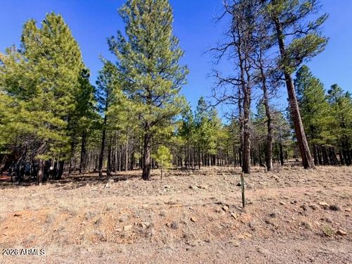 168-1865 Pine Canyon Drive, Happy Jack, AZ, 86024 | Card Image