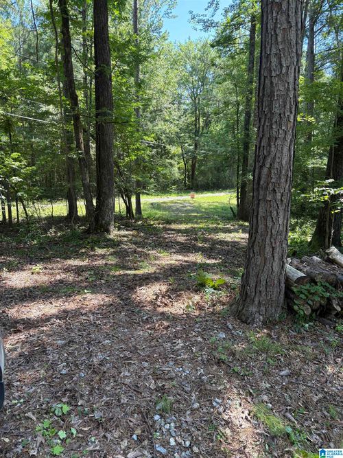 79-0 0 Pine Glen Road, TALLADEGA, AL, 35160 | Card Image